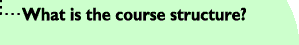 What is the course structure?